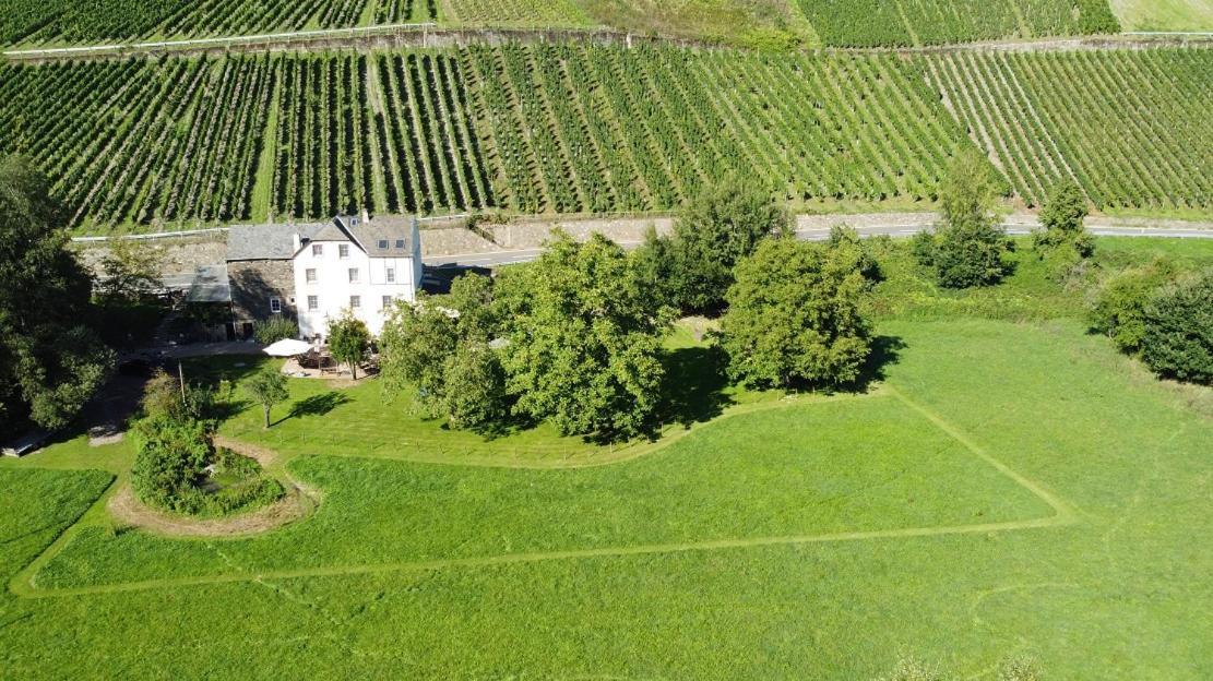 Livi'S Landhaus Neumagen-Dhron Buitenkant foto
